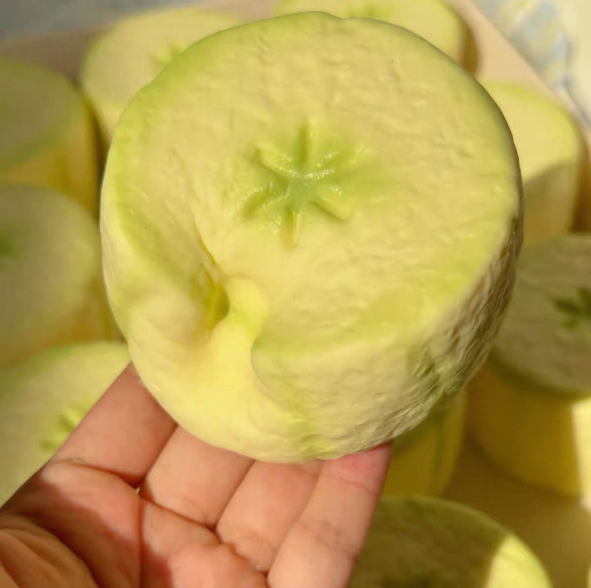 moozy fruit squishy