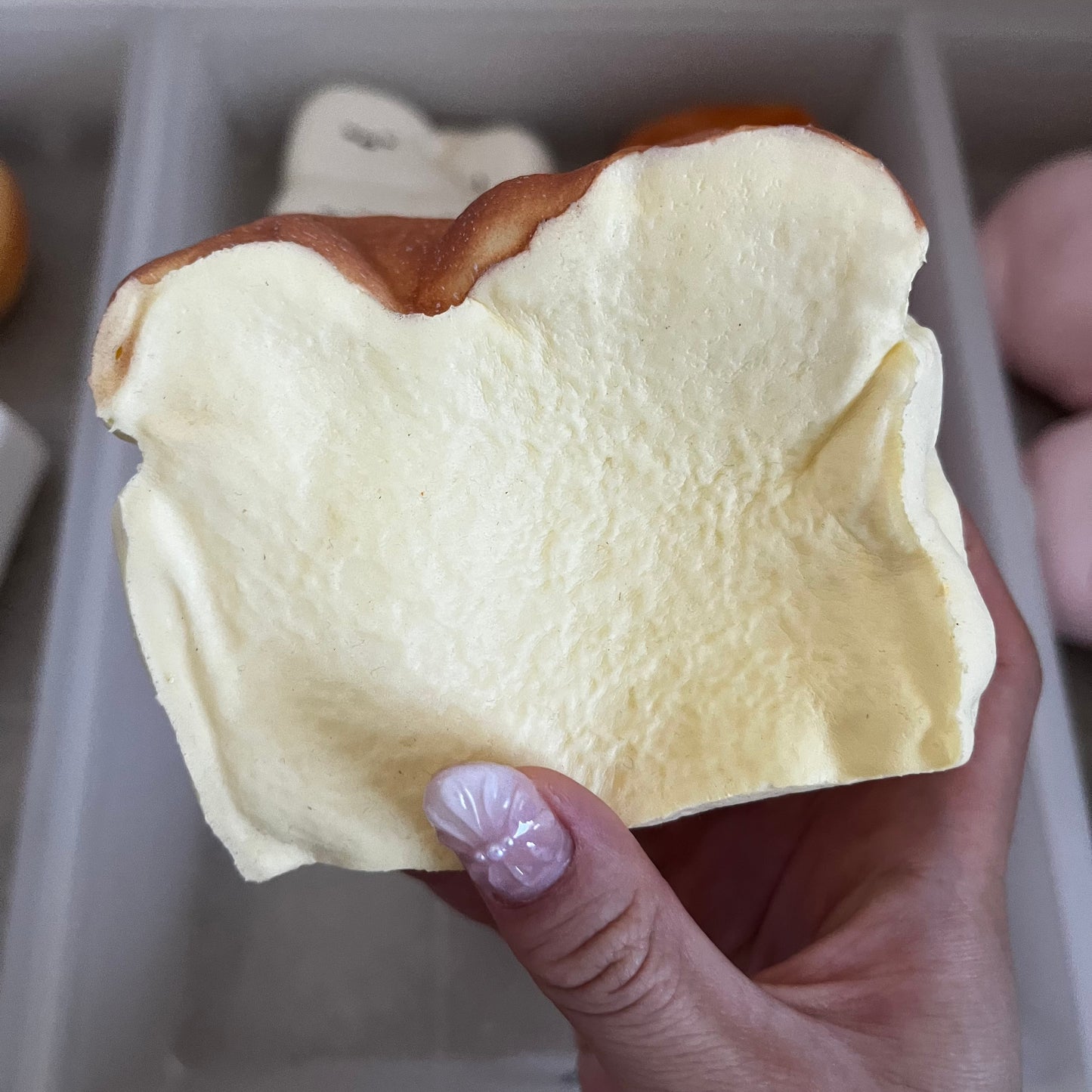 hachimi pound cake squishy