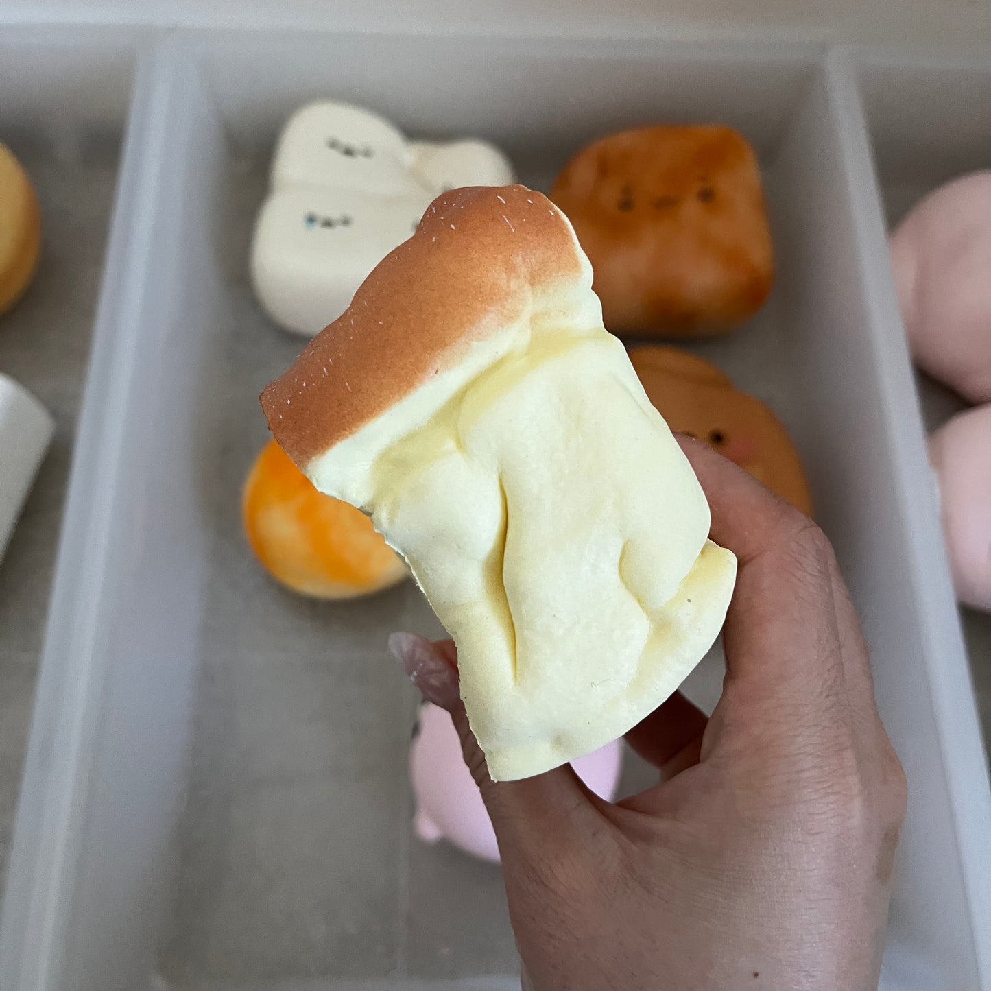 hachimi pound cake squishy