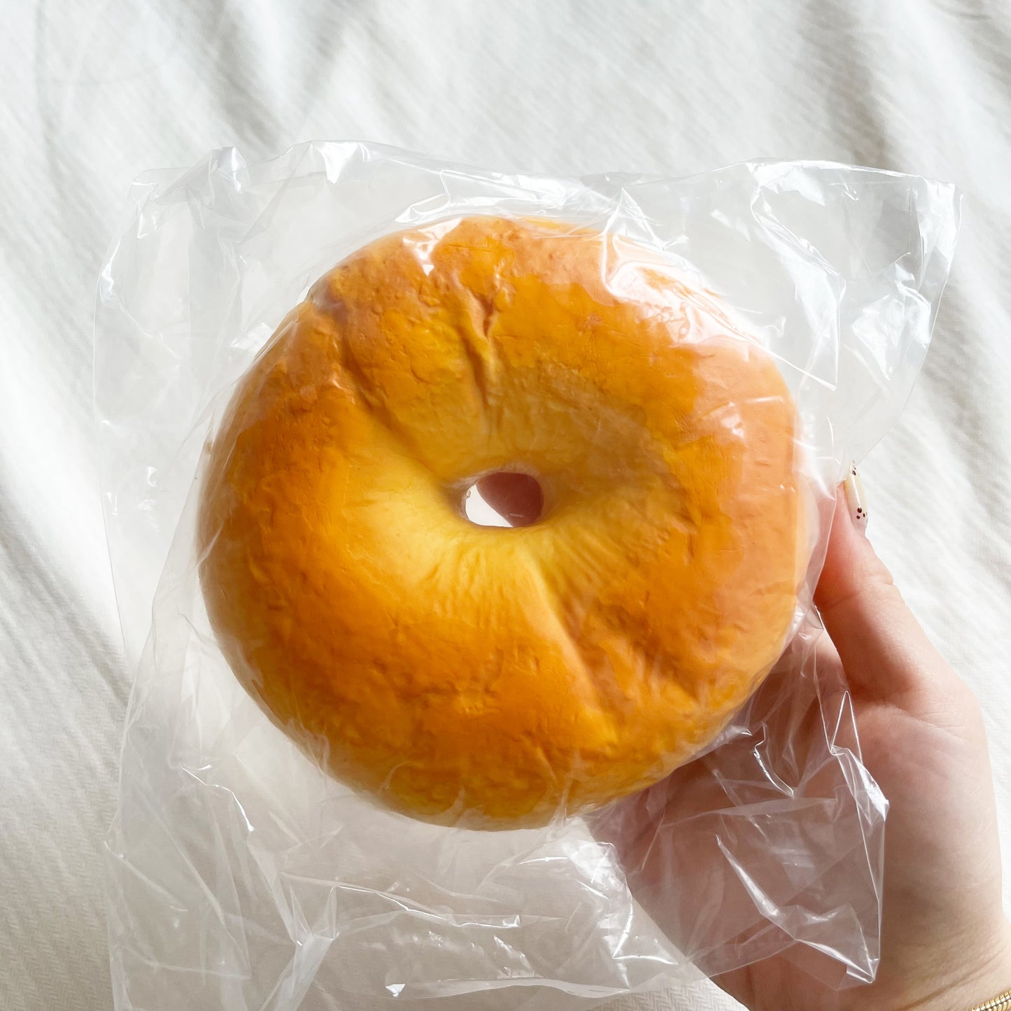 hachimi bagel squishy