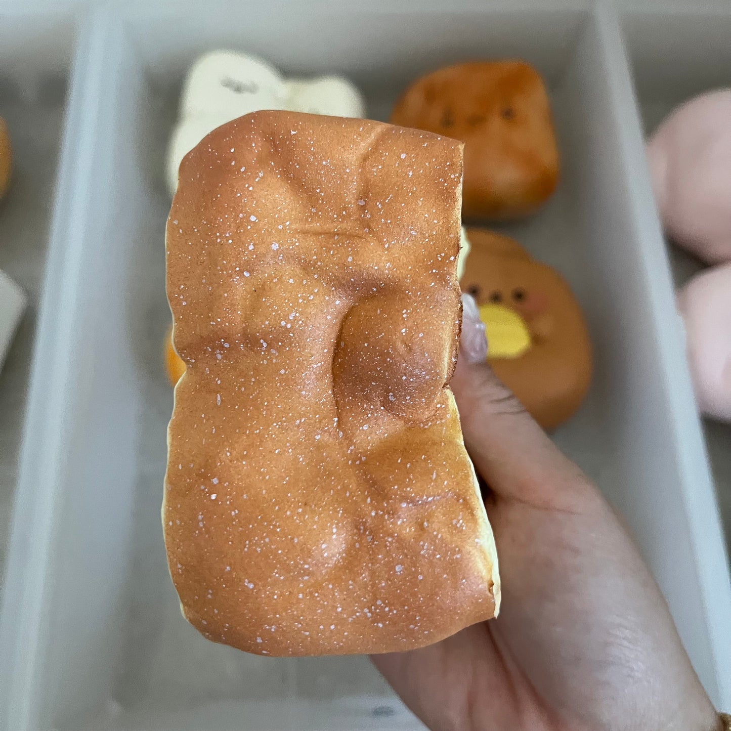 hachimi pound cake squishy