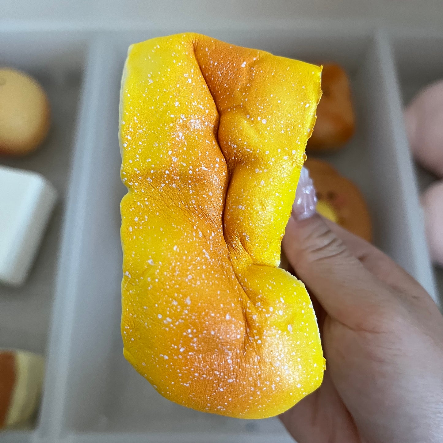 hachimi pound cake squishy