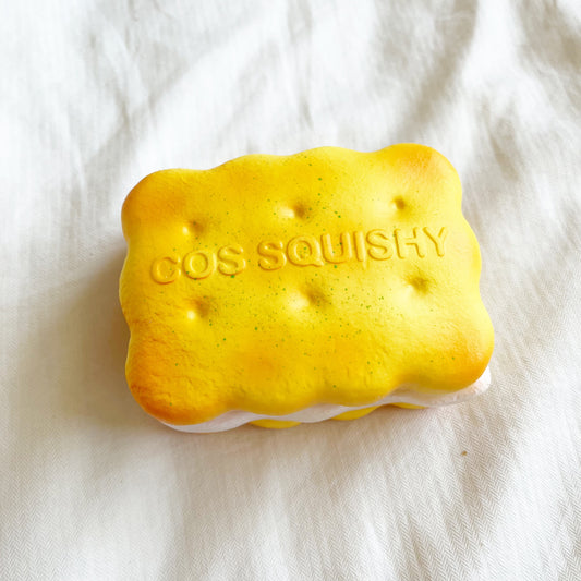 cos soda biscuit squishy