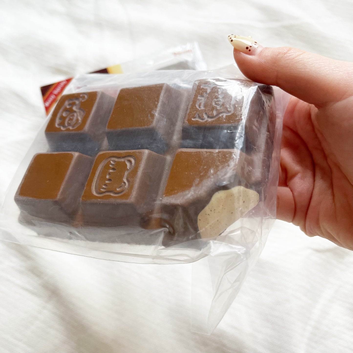 moozy capybara chocolate squishy